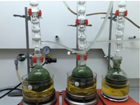 Figure 4.2 - Extraction of the lipids from the B. braunii biomass. 