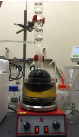 Figure 4.3 - Transesterification of the lipids to produce the biodiesel. 