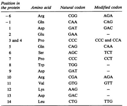 FIG. 3. Immunodetection of proapo A-I on Western blots. Protein extracts from induced and noninduced bacteria carrying plasmid pNIV1617 were prepared for electrophoresis on NaDodS04-polyacrylamide gels