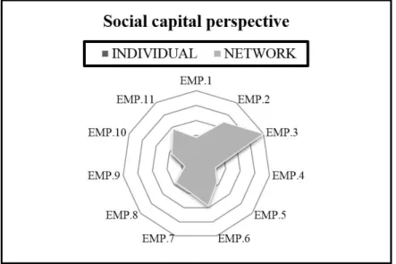 Figure 6. Individual and network management for the Social Capital perspective. EMP.1: Company 1; EMP.2: Company 2; 