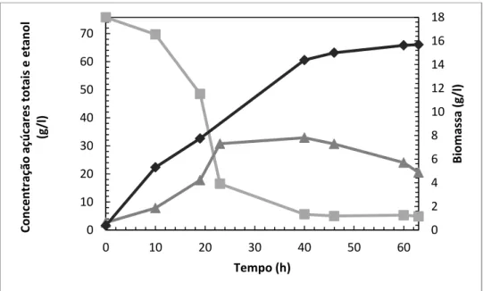 Tabela  6 -  Parâmetros  cinéticos  das  fermentações  em  batch  (BE-CON,  BE-REF  e  BE-ATP)  realizadas  em 