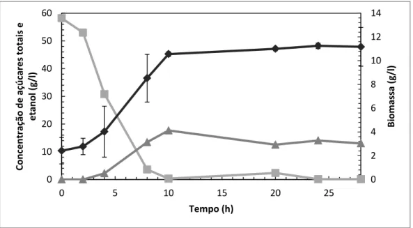 Figura  11  - Produção  de  etanol  (▲)  e  biomassa  (♦),  e  consumo  de  açúcares  (■)  numa  fermentação  batch  realizada  em  “erlenmeyer”  de  250  ml,  com S