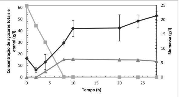 Figura  12  - Produção  de  etanol  (▲)  e  biomassa  (♦),  e  consumo  de  açúcares  (■)  numa  fermentação  batch  realizada  em  “erlenmeyer”  de  250  ml,  com  S