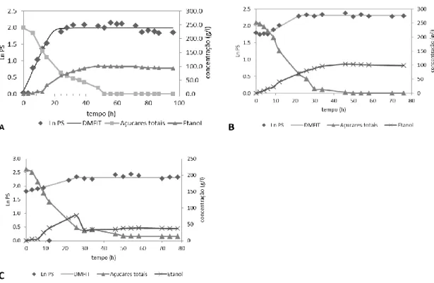 Figura  4  Perfil  de  crescimento  da  levedura  Saccharomyces  cerevisiae  F13A  livre  em  erlenmeyers  da  fermentação  previamente  descrita  a  250  g/l  (A)  após  uma  recirculação  celular  (B)  e  após  duas  recirculações  celulares  (C)  acompa