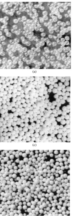Figura 1. Micrografias de microscopia ótica dos copolímeros sintetizados com misturas TOL/DEHPA no sistema 1: a) 80/20; b) 60/40; c) 20/80;