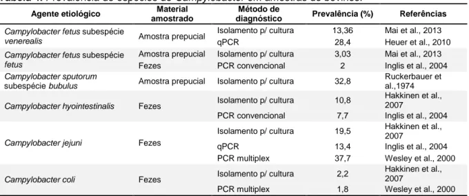 Tabela 4. Prevalência de espécies de Campylobacter em amostras de bovinos. 