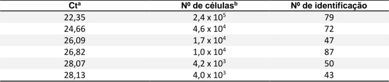 Tabela 12. Quantificação do DNA alvo presente nas 6 amostras positivas a Campylobacter fetus  subespécie venerealis