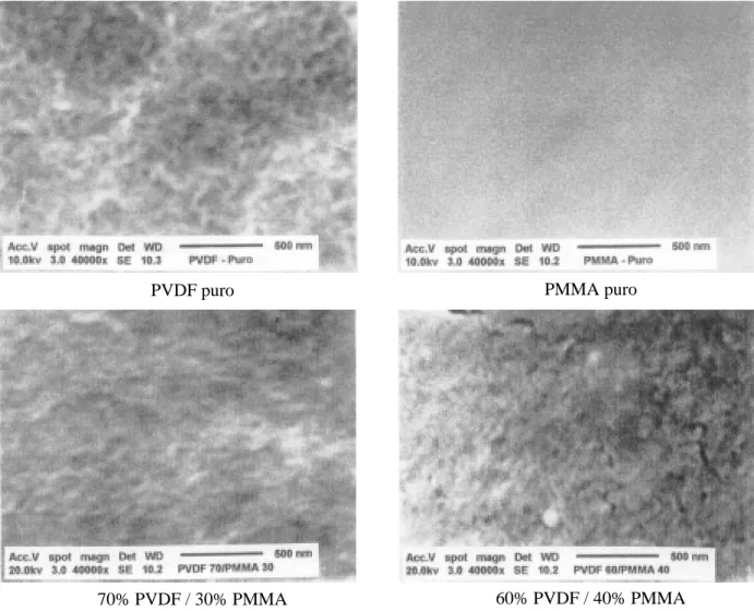 Figura 7. Micrografias da superfície das membranas preparadas a partir de PVDF e PMMA puros e das blendas em diferentes concentrações percentuais em peso