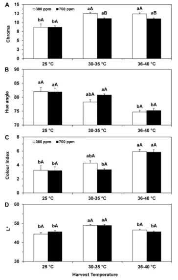 FIGURE 1 | Color attributes related to chroma (A), Hue angle (B), color index (C), and lightness (L ∗ ) (D) of coffee beans from C