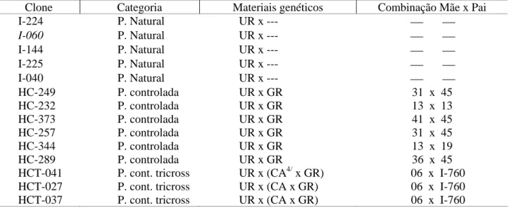 TABELA 1: Relação dos híbridos interespecíficos de Eucalyptus spp. submetidos ao estudo em diferentes  categorias e combinações
