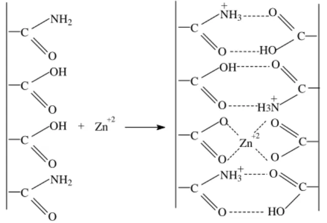 Figura 4. Esquema do possível complexo formado entre o polímero sintético e o íon Zn +2 + Zn +2 Zn +2COONH3COCOHONH3CO+COHONH2COCOHONH2CO+ COOH3NCO+CHOOCOHO