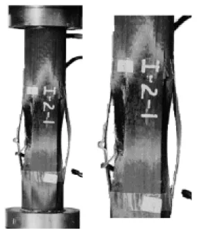 Figura 4. Flambagem elástica com bifurcação.