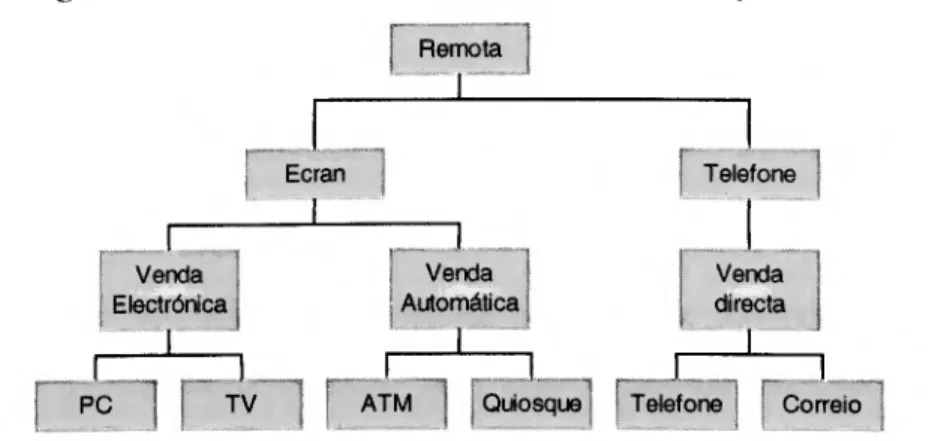 Figura XX - Áreas de vendas nos canais de distribuição remota 