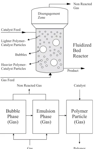 Figure 1 shows a schematic view of the fluidized bed reactor and a diagram of the phases inside the reactor.