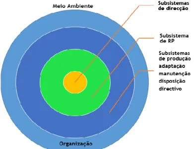 Figura 8 : O subsistema de RP em relação aos demais subsistemas da organização 