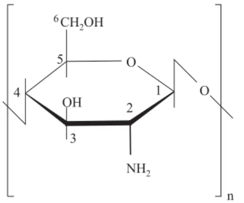 Figura 1. Fórmula estrutural do anel glicopiranosídico, a unidade de repe- repe-tição monomérica da quitosana.