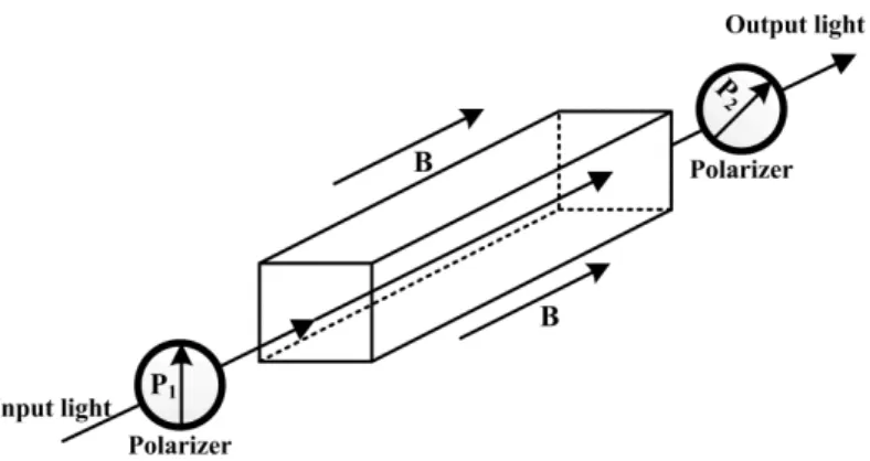 Figure 2. Polarimetric detection scheme. 