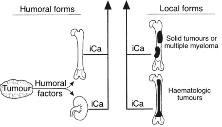 Figure  7  – Humoral and local forms of hypercalcaemia of malignancy caused by increased  stimulation  of  osteoclastic  bone  resorption  or  increased  tubular  resorption  of  calcium  (modified from Rosol and Capen, 1992)