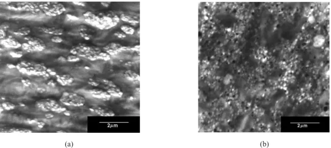 Figura 2 - Fotomicrografias de MET para as blendas ternárias (a) PA6/ABS/MMA-GMA (66,5/28,5/5 %) - seqüência 3 e (b) PA6/ABS/MMA-GMA (47,5/47,5/5 %) - seqüência 5