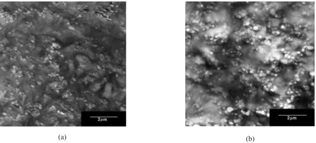 Figura 4. Fotomicrografias de MET para as blendas ternárias PA6/ABS/MMA-MA contendo 5 % de anidrido maléico no copolímero: (a) 66,5/28,5/5 % e (b) 68,25/29,25/2,5%