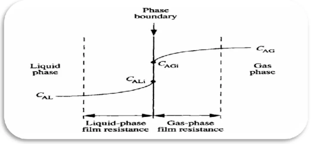 Figura 1.1  Gradientes de concentração para a transferência de massa gás-líquido (adaptado de Doran,  1995)