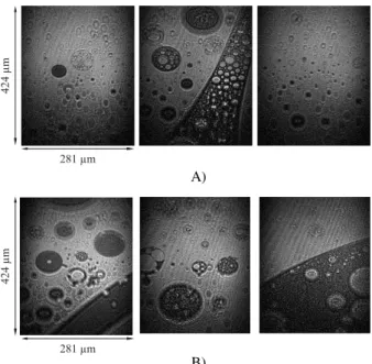 Figure 5. BAM images for cholesterol monolayers on the gaseous phase spread on (A) pH 3.5 buffer and (B) pH 3.5 buffer + 0.050 mg/mL of chitosan