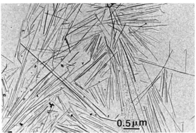 Figure 2. Storage tensile modulus E’ vs. temperature at 1 Hz for POE based composites filled with (z) 0, ({) 3, (S) 6 and (U) 10 wt% of tunicin whiskers.