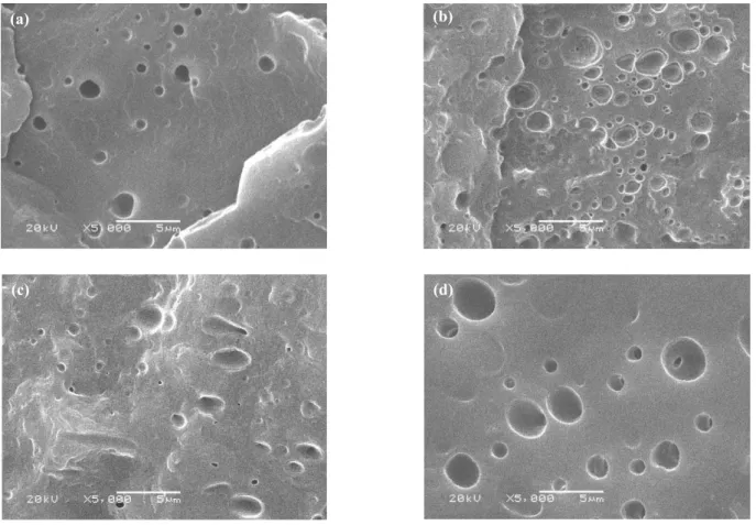 Figure 7. Scanning electronic microscopy: (a) PCL5, (b) PCL15, (c) PCL20, (d)PCL30.