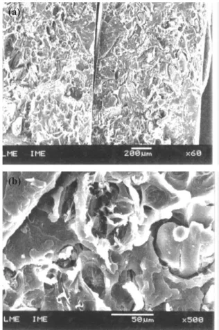 Figure 3. SEM photomicrographs of tensile fracture surfaces of 90/10 PP/