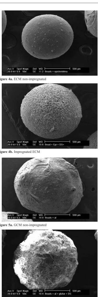 Figure 3. Scanning electron micrographs of cross-section of: (a) GCM microspheres; (b) ECM microspheres.