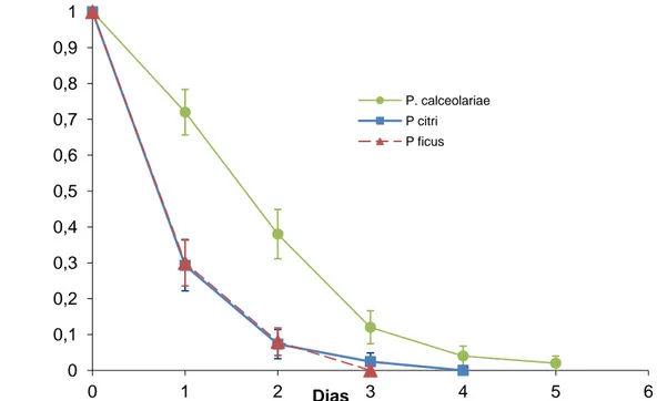 Figura  15-Curva  de  sobrevivência  (proporção)  dos  machos  acasalados  das  três  espécies  estudadas  de  cochonilhas-algodão  (Hemiptera:  Pseudococcidae):  Planococcus  ficus  (Signoret),  Planococcus  citri  (Risso)  e  Pseudococcus calceolariae (M