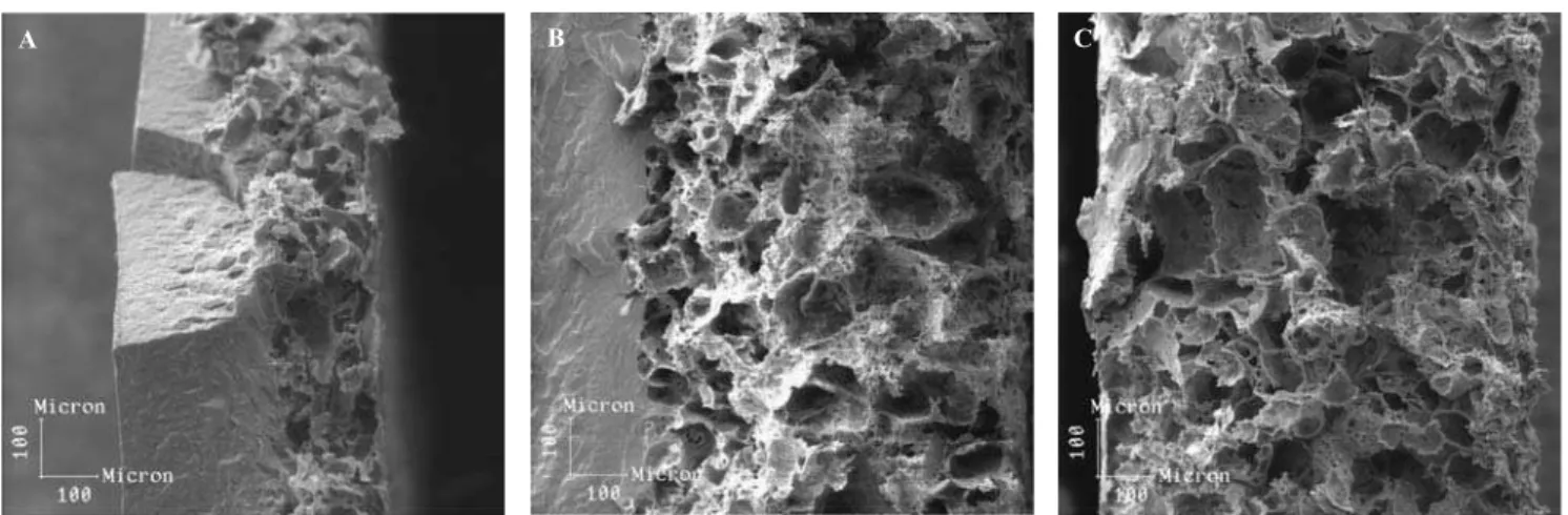 Figura 4. Micrografias da superfície de fratura criogênica das estruturas porosas de P(3HB) obtidas com 50% (a), 70% (b) e 90% (c) de NaCl na faixa granulométrica de 75-150µm.