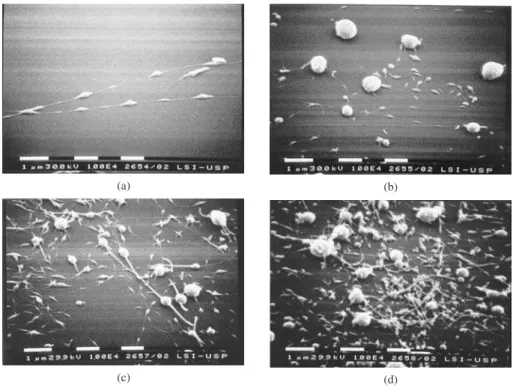 Figure 3. SEM images from the fibers electrospun as a function of applied voltage, for solution concentration of 2% and a fixed distance from the tip to col- col-lector plate of 15 cm
