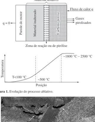 Figura 1. Evolução do processo ablativo.