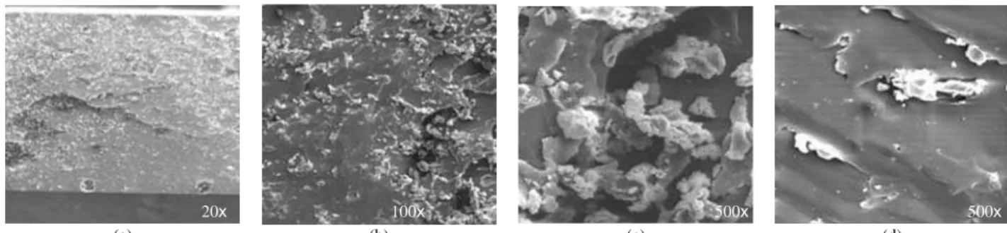 Figura 5. Fotomicrografias de MEV do compósito híbrido de poliuretano  com 35% de fibra de juta e 5% de bentonita cálcica (BCa).