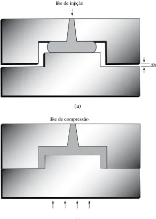 Figura 1. Processo de injeção-compressão.
