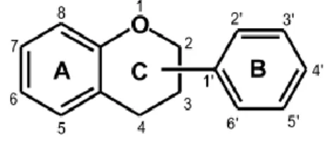 Figura 5.4 - Estrutura base dos flavonóides.(44) 
