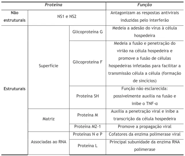 Tabela 1 – Caraterísticas e funções das proteínas do VSR (F – fusion; SH – small hidrophobe; M – matrix; 