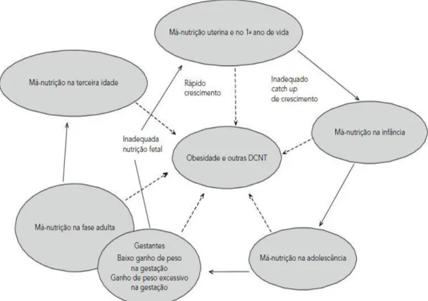 Figura 1 Enfoque do curso da vida no desenvolvimento da transição nutricional. 