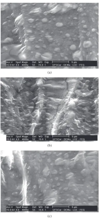 Figura  5.  Micrografias  de  MEV  das  blendas  PVC/NBR  vulcanizadas   a) BV 10; b) BV 20; e c) BV 30
