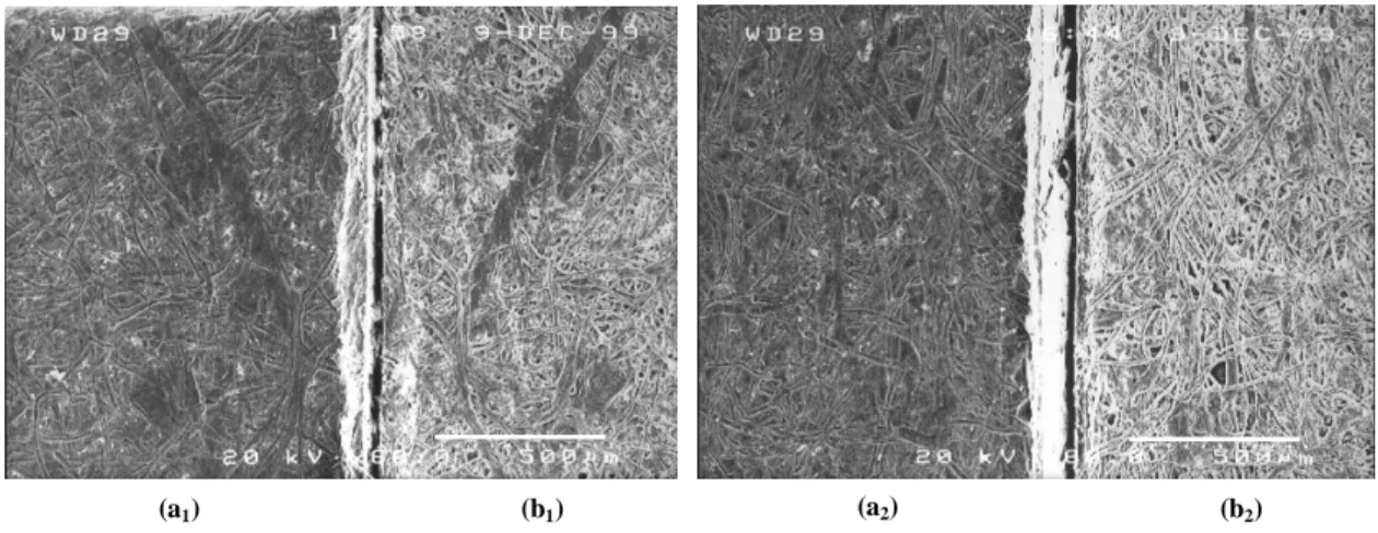 Figure 1: Scanning Electron Micrography of the surface of a common paper sheet b 1 , b 2  and the corresponding surface replica a 1 , a 2 ,  magnification x60, 20 kV, scale 500  µ m