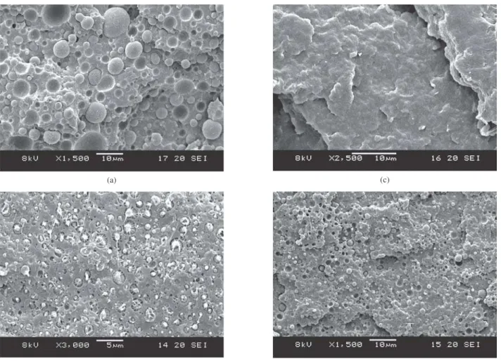 Figura 3. Micrografia da blenda de PA6/PEgAA/PEAD com um aumento  de x 10000.