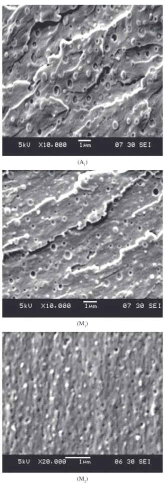 Figura 5. Micrografias eletrônicas (SEM) da superfície de fratura dos adesivos  com diferente massa molecular; A 1  (Mn = 1,19  x  10 4 ), M 1  (Mn = 8,74  x  10 3 )  e M 2  (Mn = 3,40  x  10 3 ) após o programa de cura de duas etapas.