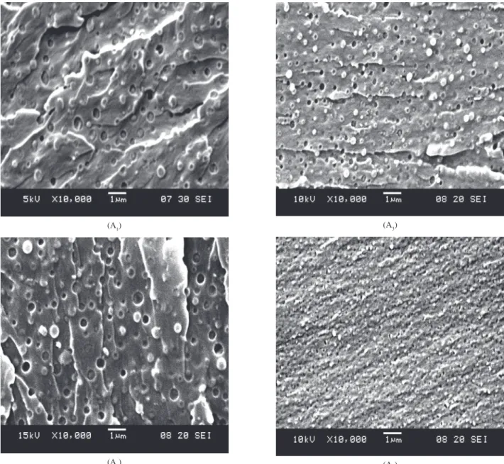 Figura  6. Micrografias  eletrônicas  (SEM)  da  superfície  de  fratura  dos  adesivos  com  diferente  concentração  de  grupos  carboxílicos; A 1   (0,00  mmol  g -1 ); 