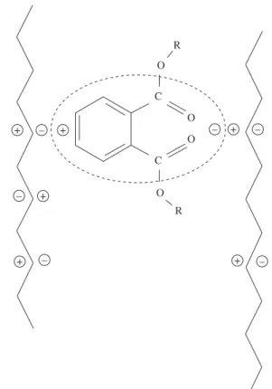 Figura  1.  Representação  química  de  um  plastificante  à  base  de  ftalato  sofrendo  desbalanceamento  eletrostático  devido  à  eletronegatividade  da  cadeia do PVC [6] .