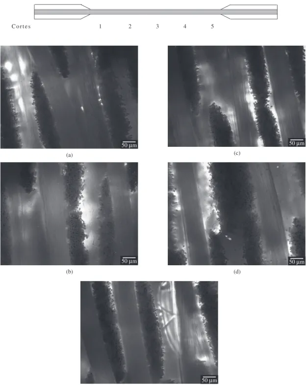 Figura 4. Micrografias do compósito de fibra de vidro/PEI submetido à fadiga de alto ciclo