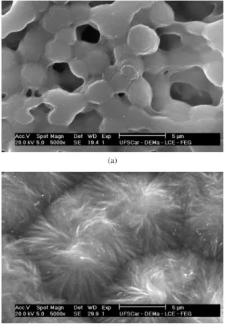 Figura 3. Micrografia da superfície dos filmes cristalizados a partir da solu- solu-ção com DMF a) 60 °C; e b) 140 °C.