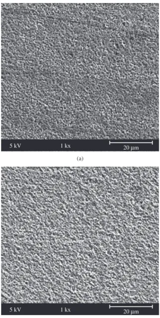 Figura 4. MEV da superfície das amostras condicionadas a: a) solução 9,  70 °C e 10 minutos; e b) solução 11, 60 °C e 10 minutos.