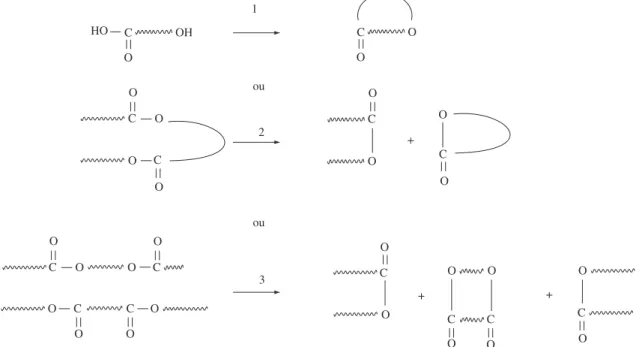 Figura 5. Possíveis mecanismos responsáveis pela formação de oligômeros cíclicos, onde   representa a cadeia polimérica [25] .