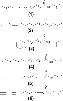 Figura  5.2.1.1.  Estrutura  química  de  alquilamidas  identificadas  em  E.  purpurea 